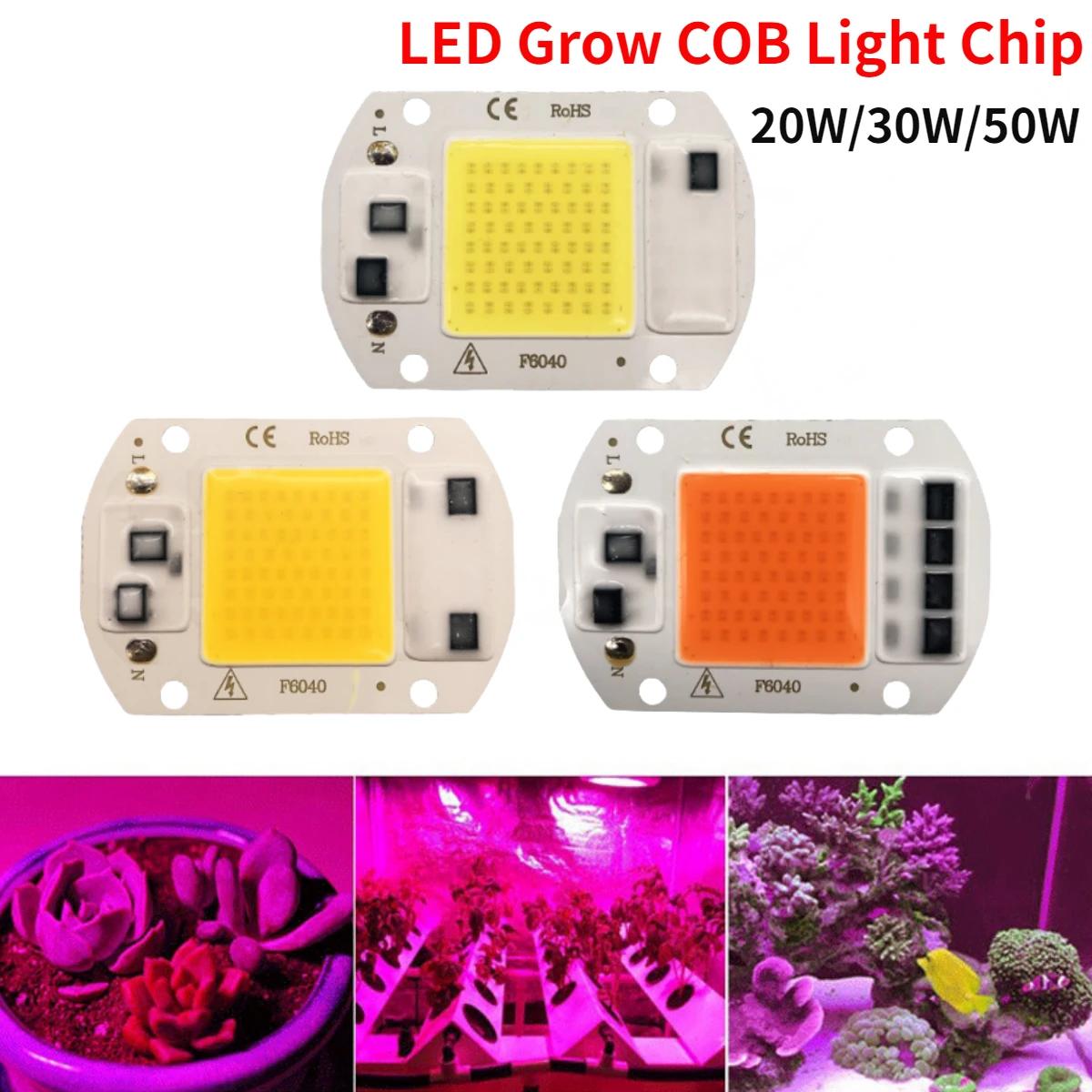 LED COB  Ĩ, ü Ʈ, , AC220V,     Ĺ  ̹ ʿ , 20W, 30W, 50W, 3 